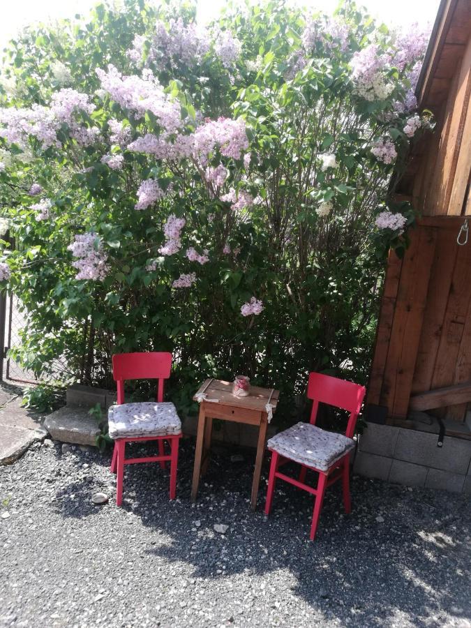 Drevenica Zapadne Tatry S Kupacou Kadou A Krbom Apartamento Žiar Exterior foto